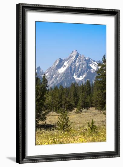 Grand Teton National Park, Teton County, Wyoming, Usa-John Warburton-lee-Framed Photographic Print