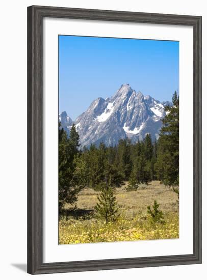 Grand Teton National Park, Teton County, Wyoming, Usa-John Warburton-lee-Framed Photographic Print