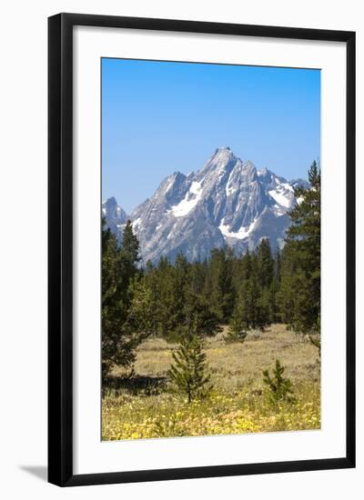 Grand Teton National Park, Teton County, Wyoming, Usa-John Warburton-lee-Framed Photographic Print