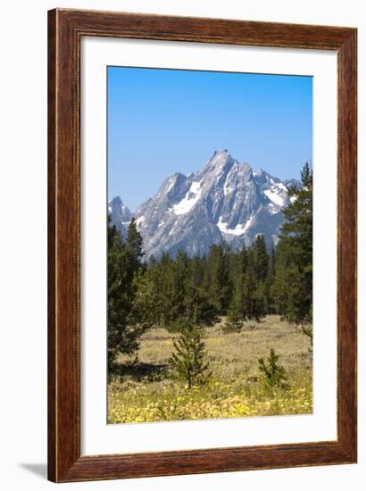 Grand Teton National Park, Teton County, Wyoming, Usa-John Warburton-lee-Framed Photographic Print