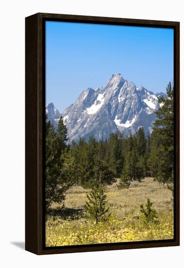 Grand Teton National Park, Teton County, Wyoming, Usa-John Warburton-lee-Framed Premier Image Canvas