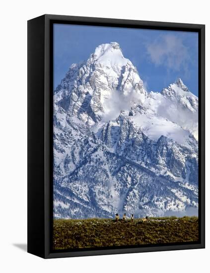 Grand Teton National Park V-Ike Leahy-Framed Premier Image Canvas