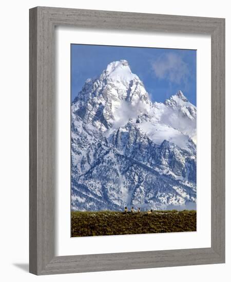 Grand Teton National Park V-Ike Leahy-Framed Photographic Print