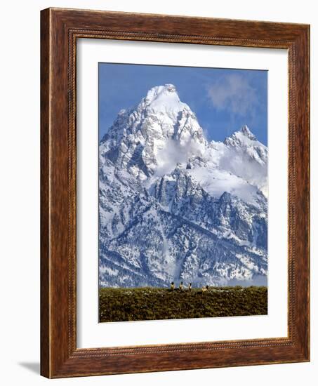 Grand Teton National Park V-Ike Leahy-Framed Photographic Print