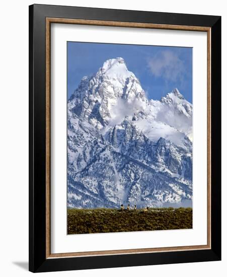 Grand Teton National Park V-Ike Leahy-Framed Photographic Print