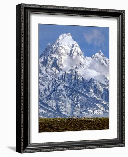 Grand Teton National Park V-Ike Leahy-Framed Photographic Print