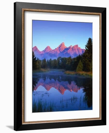 Grand Teton National Park VI-Ike Leahy-Framed Photographic Print