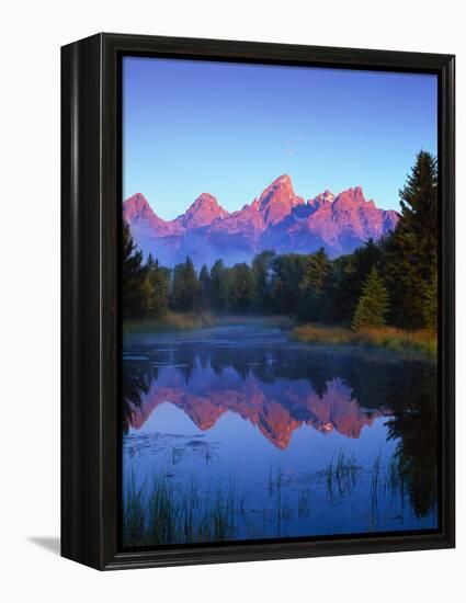 Grand Teton National Park VI-Ike Leahy-Framed Premier Image Canvas