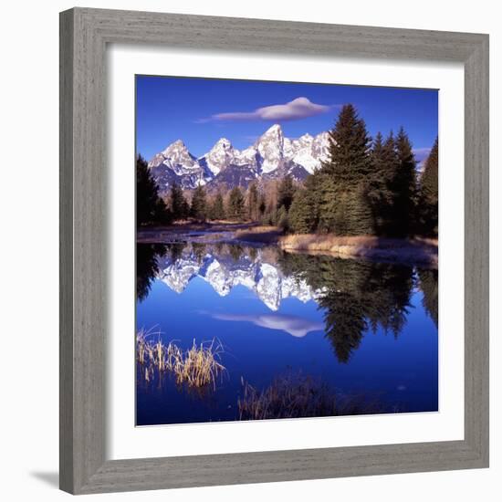 Grand Teton National Park VII-Ike Leahy-Framed Photographic Print