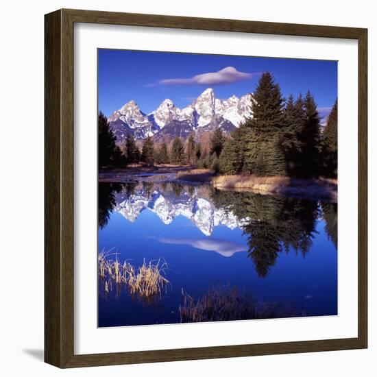 Grand Teton National Park VII-Ike Leahy-Framed Photographic Print