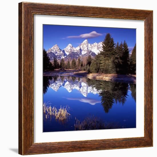 Grand Teton National Park VII-Ike Leahy-Framed Photographic Print