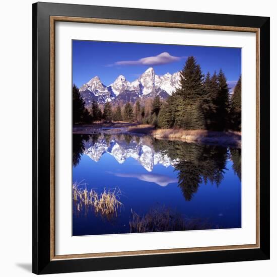 Grand Teton National Park VII-Ike Leahy-Framed Photographic Print