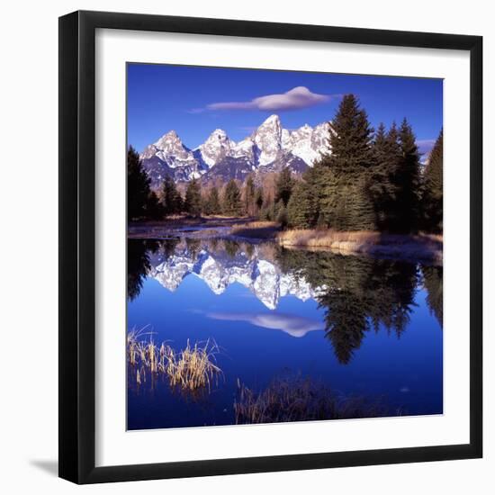 Grand Teton National Park VII-Ike Leahy-Framed Photographic Print