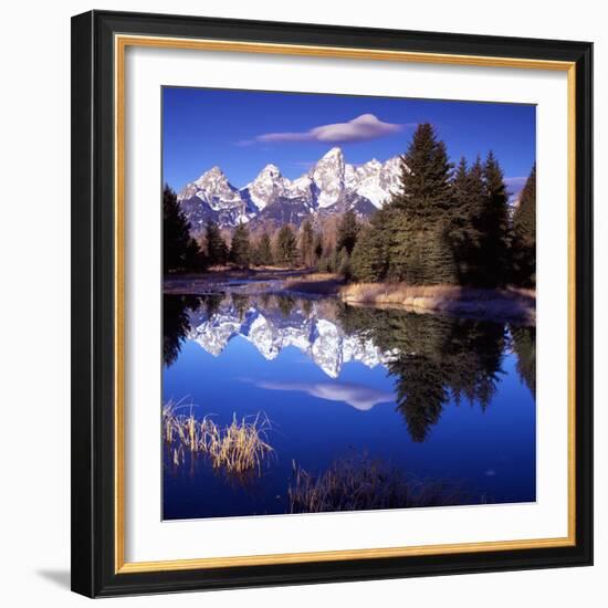 Grand Teton National Park VII-Ike Leahy-Framed Photographic Print