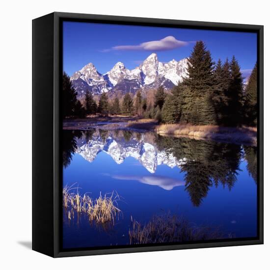 Grand Teton National Park VII-Ike Leahy-Framed Premier Image Canvas