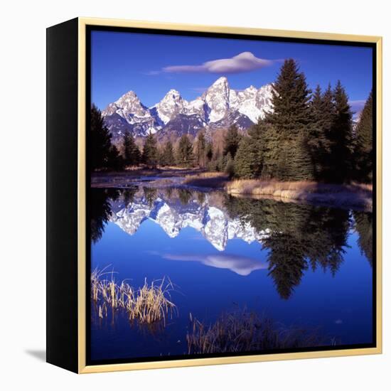 Grand Teton National Park VII-Ike Leahy-Framed Premier Image Canvas