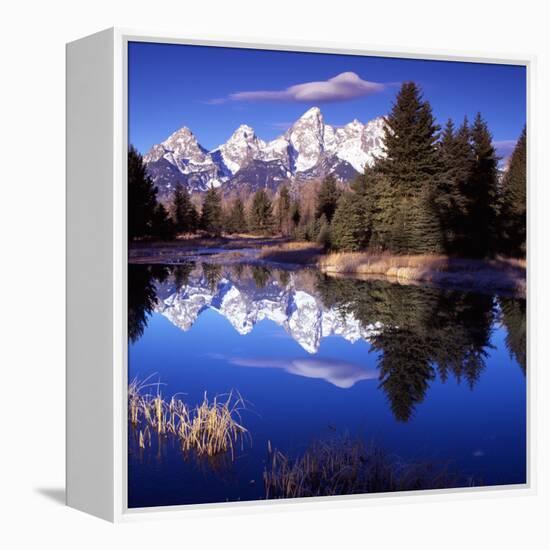 Grand Teton National Park VII-Ike Leahy-Framed Premier Image Canvas