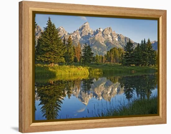 Grand Teton National Park, Wyoming, USA-Charles Gurche-Framed Premier Image Canvas