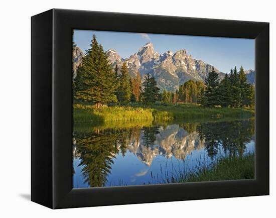 Grand Teton National Park, Wyoming, USA-Charles Gurche-Framed Premier Image Canvas