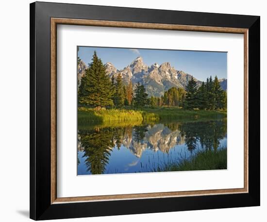 Grand Teton National Park, Wyoming, USA-Charles Gurche-Framed Photographic Print