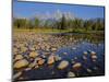 Grand Teton National Park, Wyoming, USA-Charles Gurche-Mounted Photographic Print