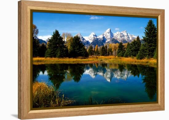 Grand Teton National Park XI-Ike Leahy-Framed Premier Image Canvas