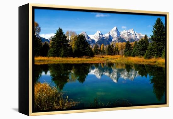 Grand Teton National Park XI-Ike Leahy-Framed Premier Image Canvas