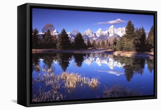 Grand Teton National Park XII-Ike Leahy-Framed Premier Image Canvas