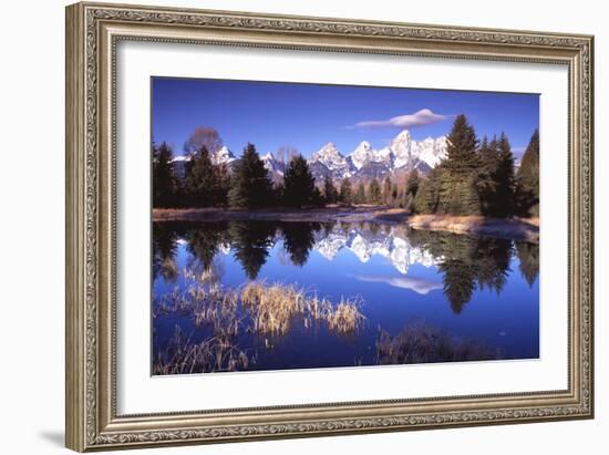 Grand Teton National Park XII-Ike Leahy-Framed Photographic Print