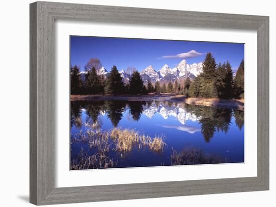 Grand Teton National Park XII-Ike Leahy-Framed Photographic Print