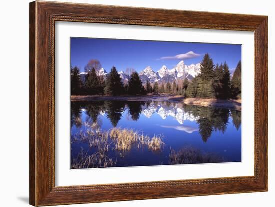 Grand Teton National Park XII-Ike Leahy-Framed Photographic Print