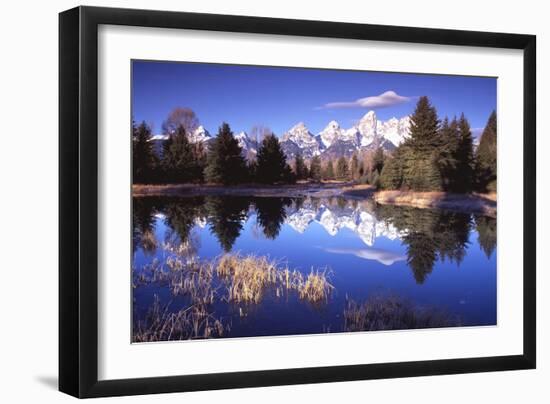 Grand Teton National Park XII-Ike Leahy-Framed Photographic Print