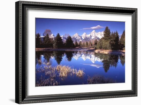 Grand Teton National Park XII-Ike Leahy-Framed Photographic Print