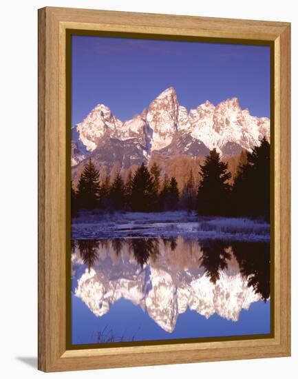 Grand Teton National Park XIII-Ike Leahy-Framed Premier Image Canvas