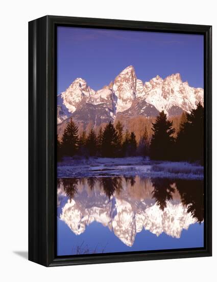 Grand Teton National Park XIII-Ike Leahy-Framed Premier Image Canvas