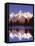 Grand Teton National Park XIII-Ike Leahy-Framed Premier Image Canvas