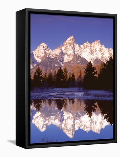 Grand Teton National Park XIII-Ike Leahy-Framed Premier Image Canvas