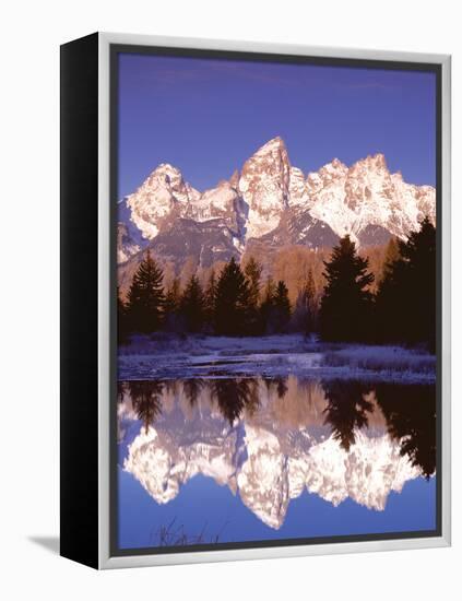 Grand Teton National Park XIII-Ike Leahy-Framed Premier Image Canvas