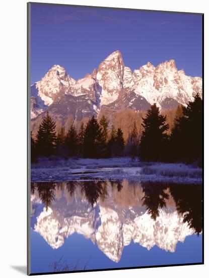 Grand Teton National Park XIII-Ike Leahy-Mounted Photographic Print