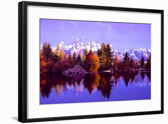 Grand Teton National Park XIV-Ike Leahy-Framed Photographic Print