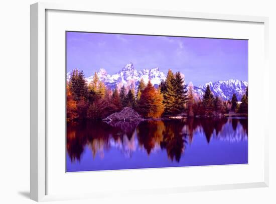 Grand Teton National Park XIV-Ike Leahy-Framed Photographic Print