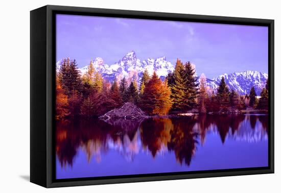 Grand Teton National Park XIV-Ike Leahy-Framed Premier Image Canvas