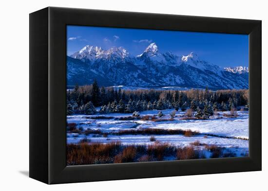 Grand Teton National Park XVI-Ike Leahy-Framed Premier Image Canvas