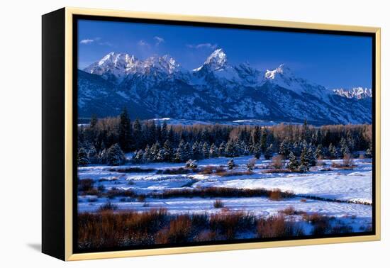 Grand Teton National Park XVI-Ike Leahy-Framed Premier Image Canvas