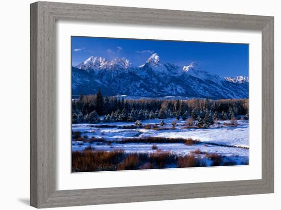 Grand Teton National Park XVI-Ike Leahy-Framed Photographic Print