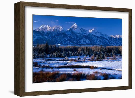 Grand Teton National Park XVI-Ike Leahy-Framed Photographic Print