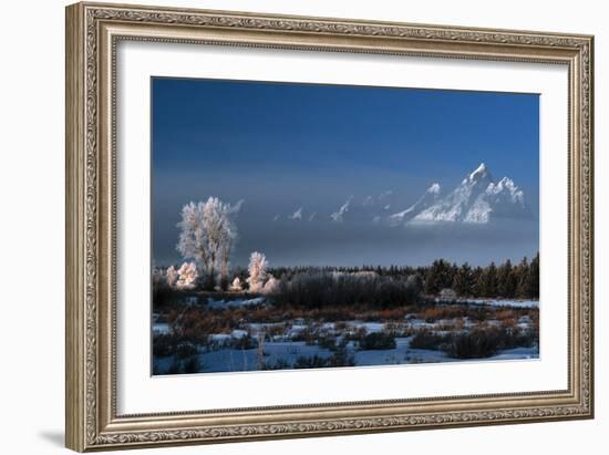 Grand Teton National Park XVII-Ike Leahy-Framed Photographic Print