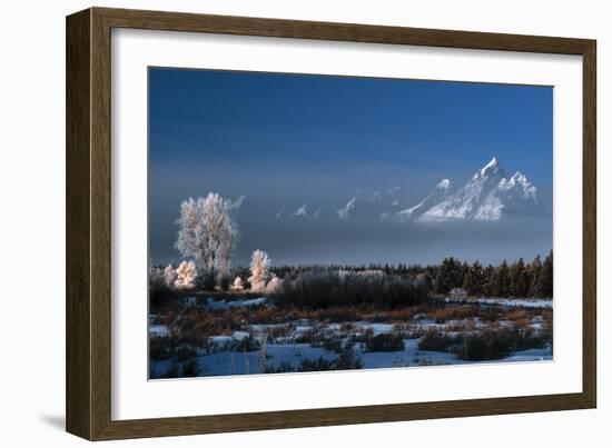 Grand Teton National Park XVII-Ike Leahy-Framed Photographic Print