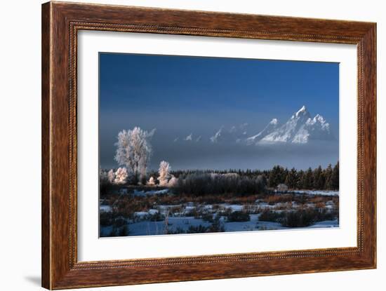 Grand Teton National Park XVII-Ike Leahy-Framed Photographic Print