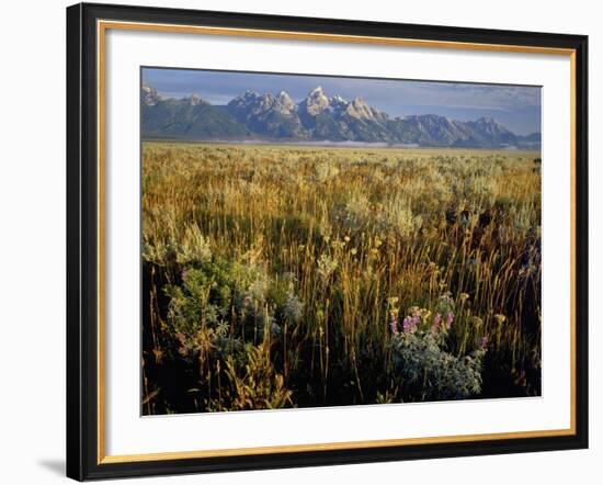 Grand Teton National Park-Scott T. Smith-Framed Photographic Print